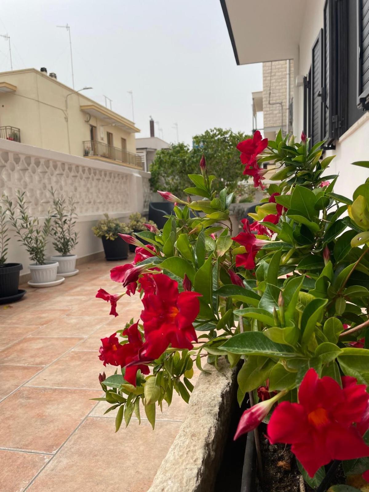 Rosa Dei Venti Villa Polignano a Mare Kültér fotó